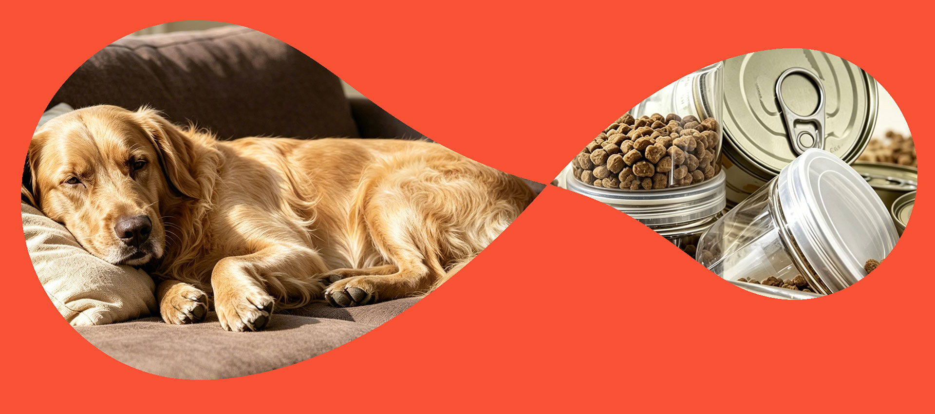 Pioniere della nutrizione sostenibile per animali domestici