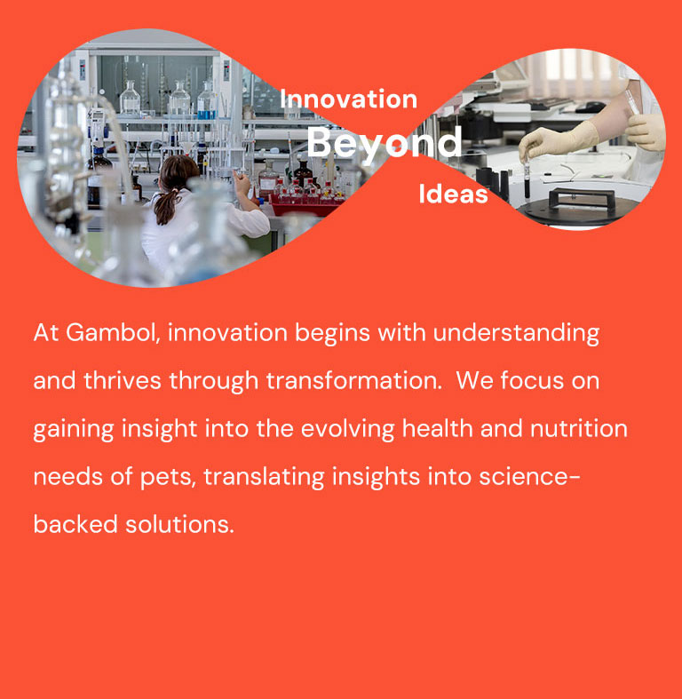 <p>Gambol Pet Food R&D</p>