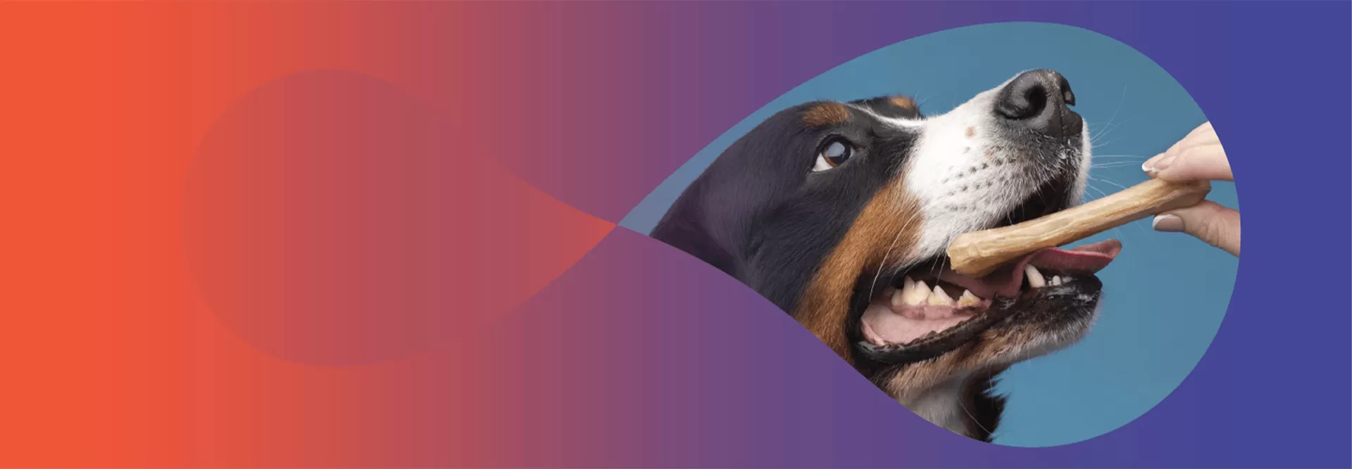 Advanced Nutrition Cibo per Cani per Ogni Razza ed Età