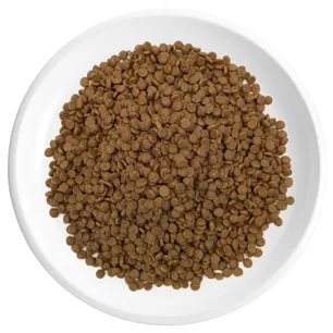 Crocchette per gatti al gusto di pollo e tacchino