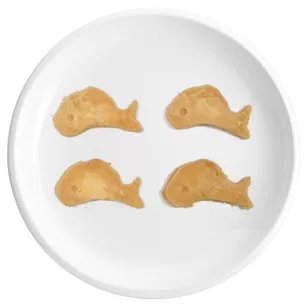 FD Bocconcini di Salmone per Gattini con L-carnitina