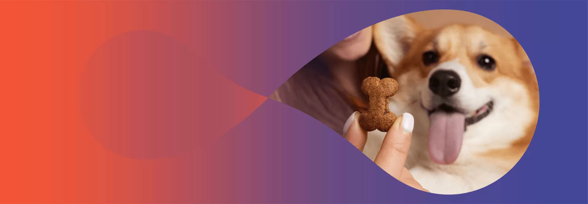 Dolcetti/Snack per cani personalizzati dal gusto straordinario
