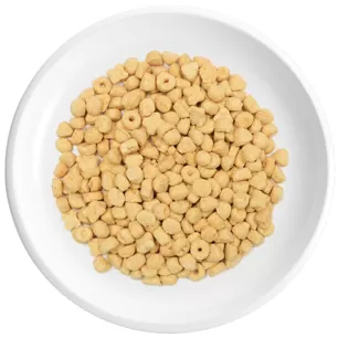 Mini Biscotti per Cani