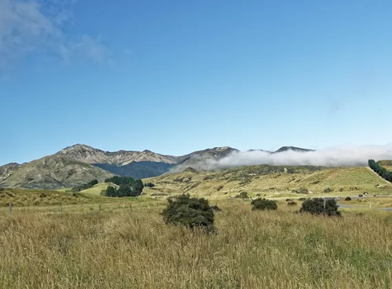 Centro di Produzione Intelligente della Nuova Zelanda
